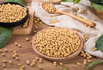 智豆兴农·数启未来：吉林省优正科技与九三集团长春大豆科技股份有限公司AI软件定制化开发合作全景规划